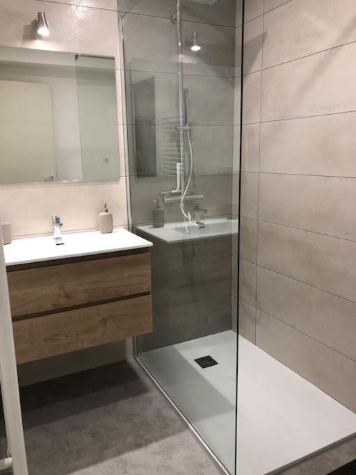 Appartement Moderne & Lumineux 40M2 Centre Luxeuil Екстер'єр фото