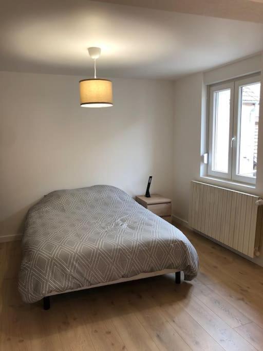Appartement Moderne & Lumineux 40M2 Centre Luxeuil Екстер'єр фото