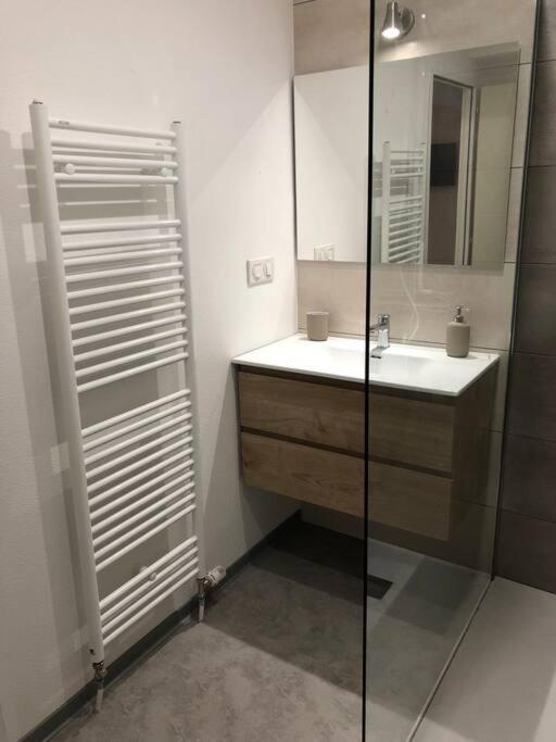 Appartement Moderne & Lumineux 40M2 Centre Luxeuil Екстер'єр фото